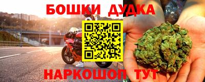 альфа пвп Новодвинск