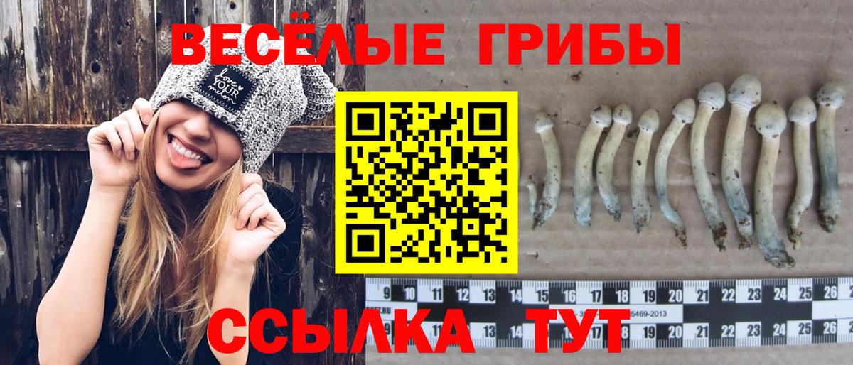Псилоцибиновые грибы Magic Shrooms Трёхгорный