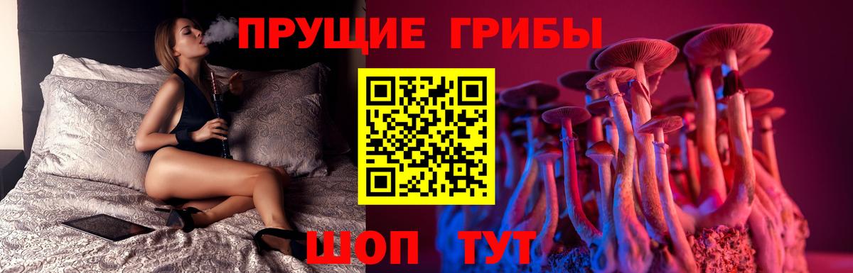 Галлюциногенные грибы мицелий  Галлюциногенные грибы мухоморы  Вход с VPN  Трёхгорный 